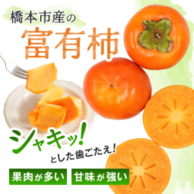 ケーズファーム　富有柿　11～13個入　約3.5kg