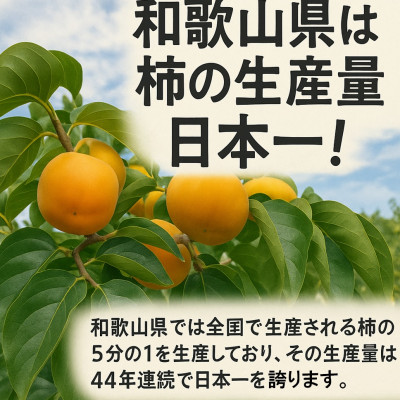 【先行受付】柳フルーツ園のたねなし柿