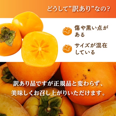 【2026年度発送分】国城観光農園のたねなし柿(家庭用・訳あり)約7.5kg