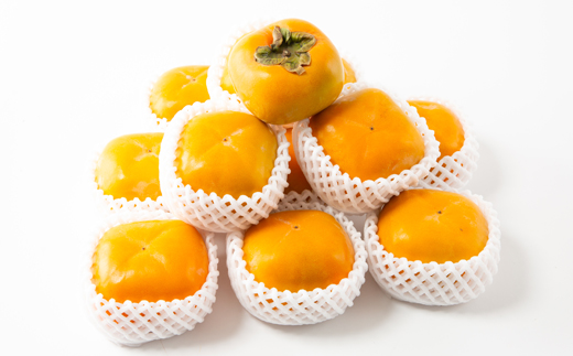 ケーズファーム　平たねなし柿　12～13個入　2L～3Lサイズ