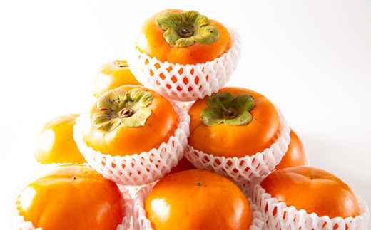 和歌山県産　美濃農園の富有柿　12個(2Lサイズ程度)【配送不可地域：離島・北海道・沖縄県】