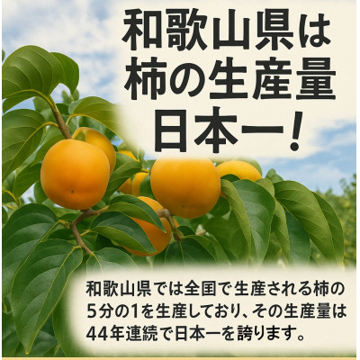 柳フルーツ園 たねなし柿 約2kg