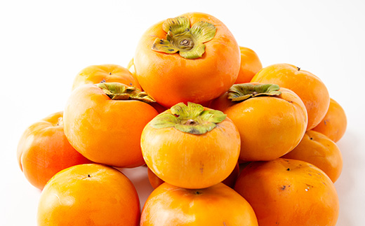 柳フルーツ園の訳あり富有柿 約10kg【2026冬発送】