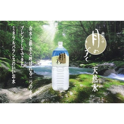 【毎月定期便】ミネラルウォーター　月のしずく2L×6本入 全12回