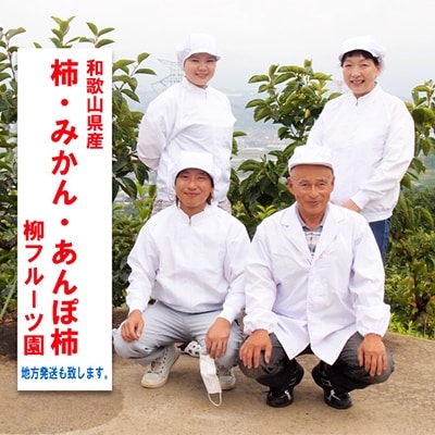 【先行受付】柳フルーツ園のたねなし柿