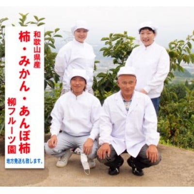 【先行受付】柳フルーツ園の訳ありたねなし柿7.5kg