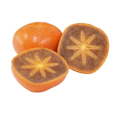 【2025年度発送分】国城観光農園の紀の川柿11～12個(2L～3Lサイズ)