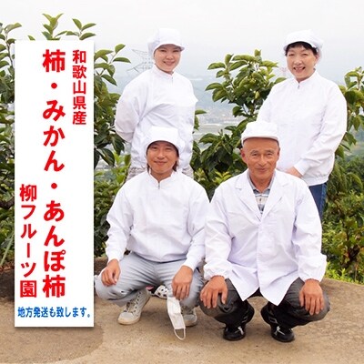 柳フルーツ園の「紀州手作り　あんぽ柿」30個入り【配送不可地域：離島】