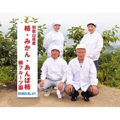 柳フルーツ園の「紀州手作り　あんぽ柿」24個入り【配送不可地域：離島】