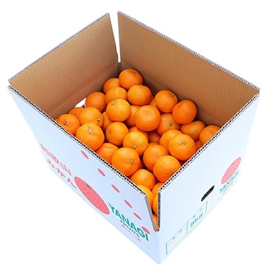 柳フルーツ園の大玉みかん(Lサイズ　5kg)