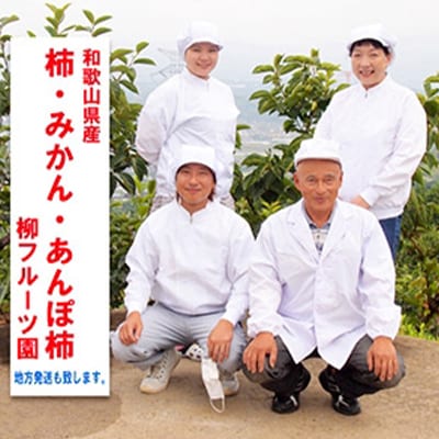 【先行受付】柳フルーツ園の訳あり富有柿　5kg