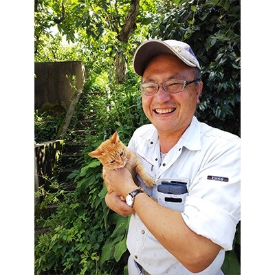 【2025年度発送分】国城観光農園のたねなし柿12個入り(3Lサイズ)【配送不可地域：北海道・沖縄県】