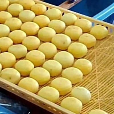 柳フルーツ園の「紀州手作り　あんぽ柿」16個入り(4個入り×4パック)【配送不可地域：離島】