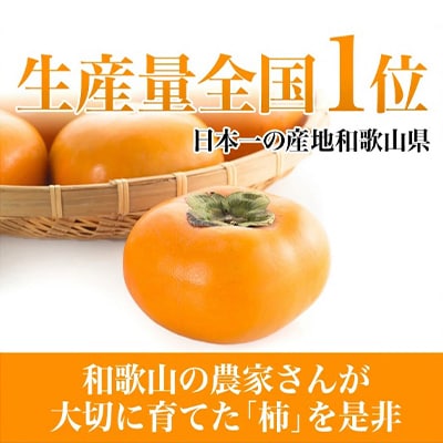 【令和8年度】柿カテゴリ上位獲得!　JAわかやま(紀北地域)のたねなし柿　7.5kg　L又は2L