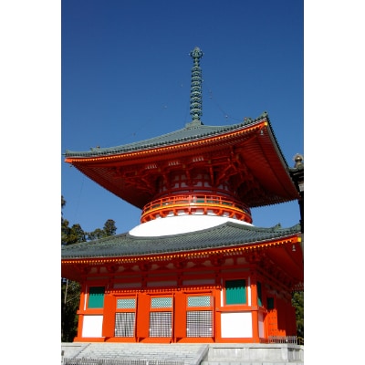 高野山麓　極ごまとうふ5個入　湯浅金剛空海醤油付き