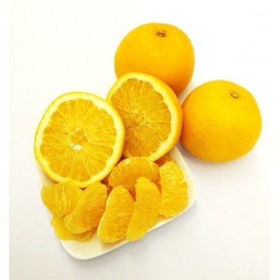 和歌山県産　美濃農園のはっさく 約5kg(皮をむく道具付き)