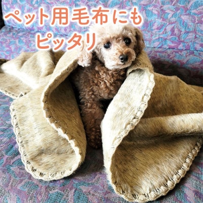 フェイクファー ブランケット ベージュ ペット用毛布