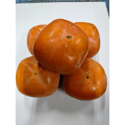 紀の川柿(訳あり品)12～15個入り