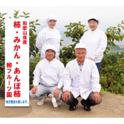 【先行予約】たねなし柿(訳あり) 約2kg【2026年秋冬配送】柳フルーツ園