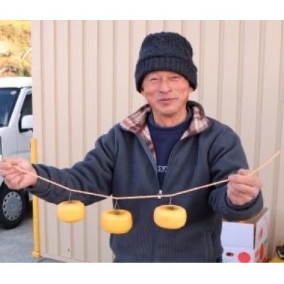 柳フルーツ園の干し柿セット 約2kg