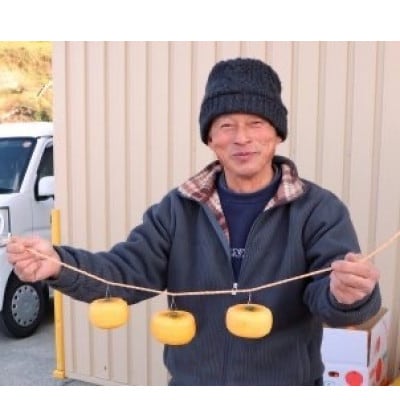 【先行予約】干し柿セット 約5kg【2026年秋冬配送】柳フルーツ園