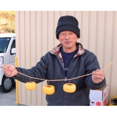 柳フルーツ園の干し柿セット 約7kg