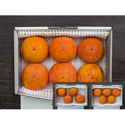 【先行予約】匠果樹園 富有柿【訳あり】約1.5kg 6～4玉【令和7年11月より順次発送】