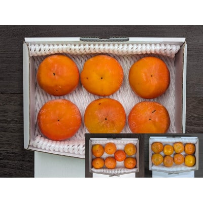 【先行予約】匠果樹園 富有柿【訳あり】約1.4kg 8～6玉【令和7年11月より順次発送】