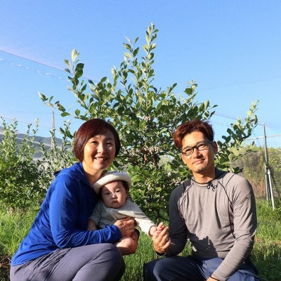 【2026年10月以降順次発送】和歌山産　ご家庭用たねなし柿(約7.5kg箱入)