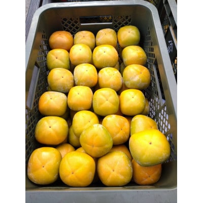 和歌山県産たね無し柿　L・2Lサイズ　5kg