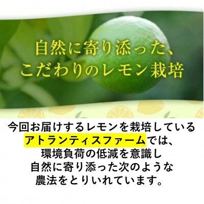 アトランティスファームの国産レモン 約3kg+300g (11月より順次発送予定)