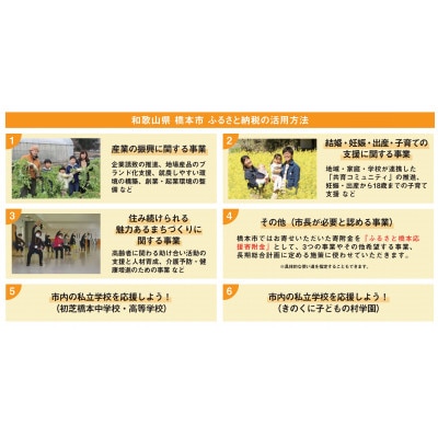 【返礼品なし】和歌山県橋本市への応援寄附金(5,000円分)