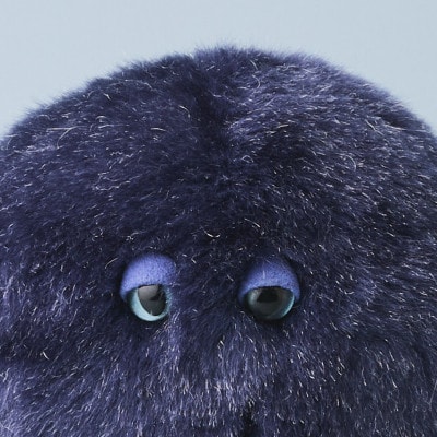 粘菌の森(ぬいぐるみ)　ジクホコリ