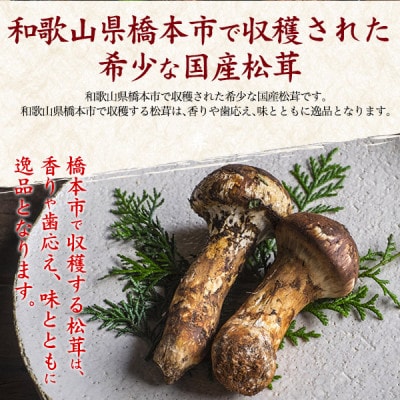 訳あり　国産　天然高野松茸　約180g【配送不可地域：離島・北海道・沖縄県】