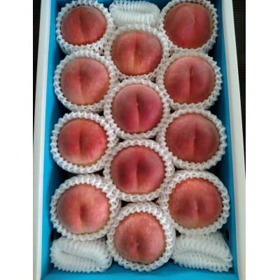 和歌山の桃「さくひめ」計4kg 11個～13個【配送不可地域：離島】