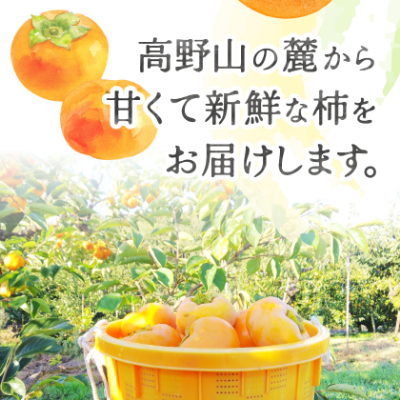 ケーズファーム　富有柿　11～13個入　約3.5kg