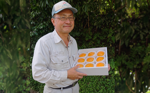 国城観光農園のたねなし柿9個入り(2Lサイズ)【配送不可地域：北海道・沖縄県】