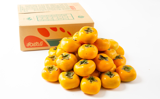 【令和8年度】柿カテゴリ上位獲得!　JAわかやま(紀北地域)のたねなし柿　7.5kg　L又は2L