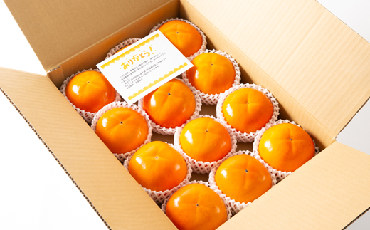 和歌山県産　美濃農園の富有柿　12個(2Lサイズ程度)【配送不可地域：離島・北海道・沖縄県】