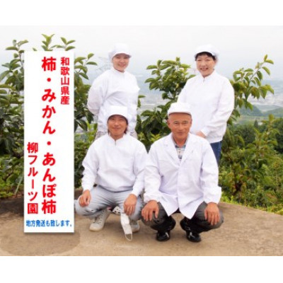 【先行受付】柳フルーツ園の富有柿