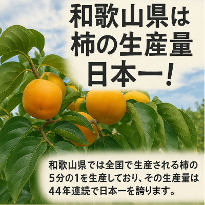柿【先行予約2026年配送】たねなし柿 約5kg　柳フルーツ園