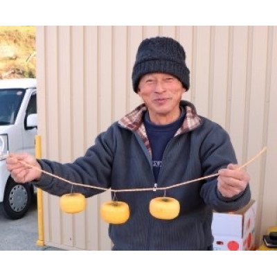 柳フルーツ園の干し柿セット 約10kg【2025年秋冬配送】