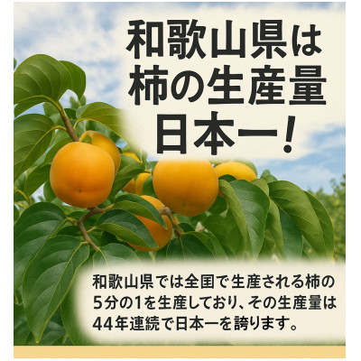 【令和7年10月発送予定】藤田ぶどう園のたねなし柿(訳あり)5kg