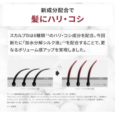 【2ヵ月毎定期便】スカルプD　薬用スカルプシャンプー　ドライ [乾燥肌用]シャンプー メンズ全6回