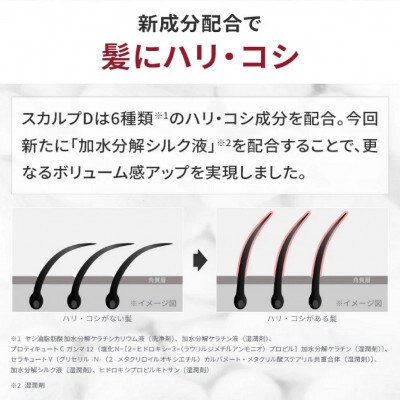 【2ヵ月毎定期便】スカルプD　薬用スカルプシャンプー　オイリー [脂性肌用]メンズ　ヘアケア　全6回