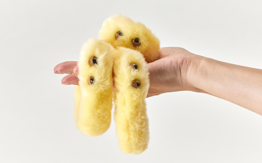 粘菌の森(ぬいぐるみ)　ヘビヌカホコリ