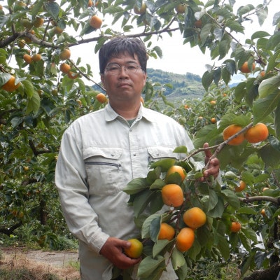 秋の味覚 「たねなし柿」 10～12玉入り