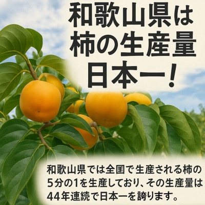 【先行受付】柳フルーツ園の訳ありたねなし柿7.5kg