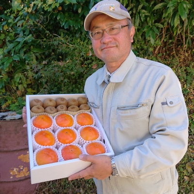 富有柿とキウイフルーツの詰め合わせ