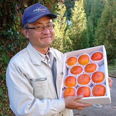 【2025年度発送分】国城観光農園の紀の川柿11～12個(2L～3Lサイズ)